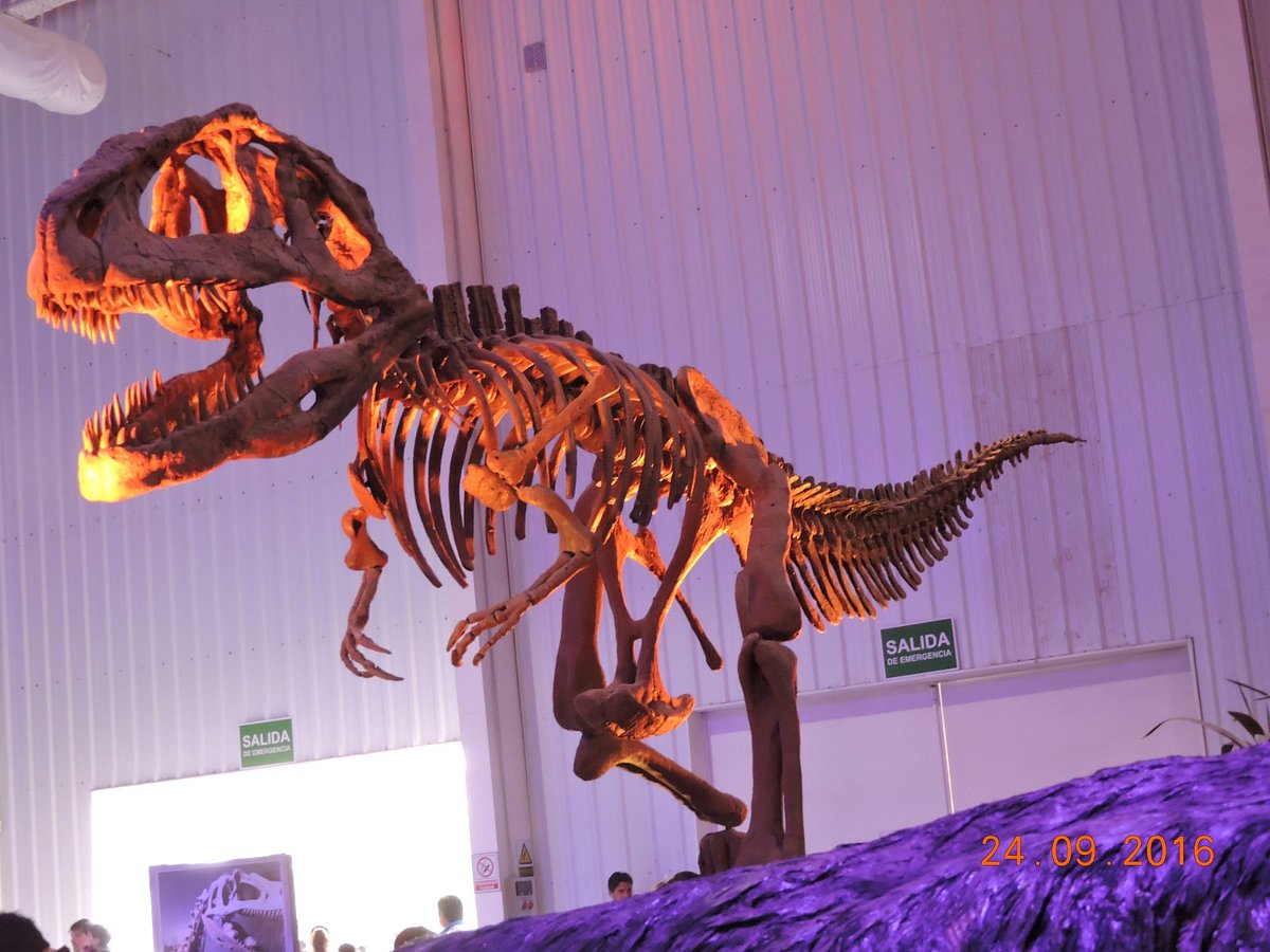 Tecnopolis federal